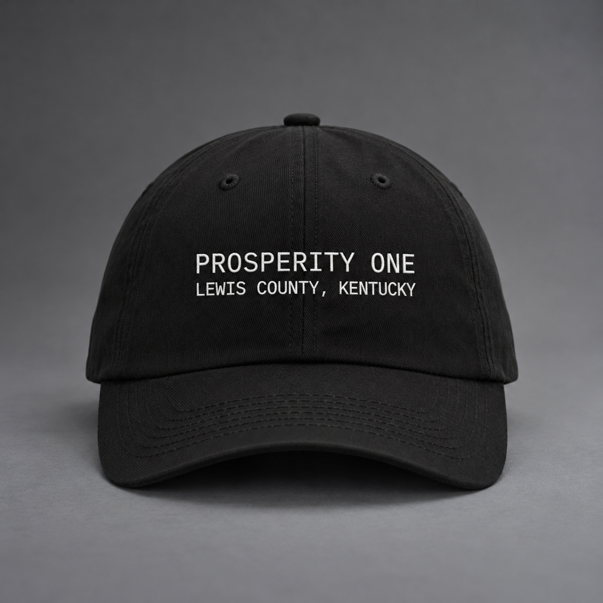 Prosperity One LoPro Cap